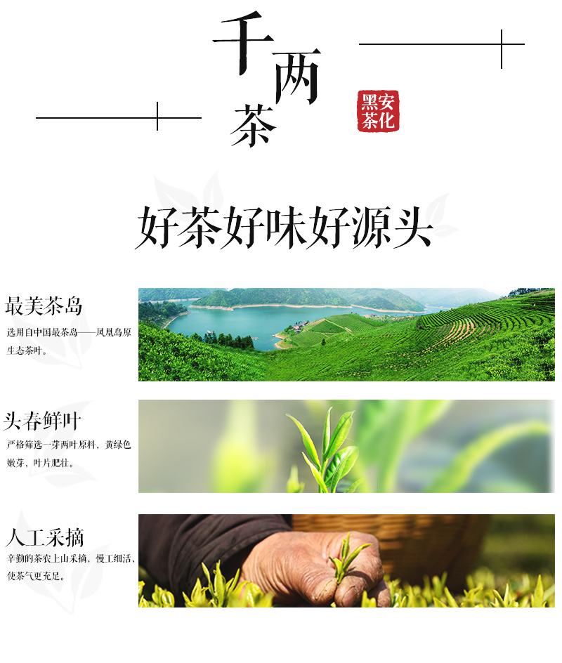 千两茶_04